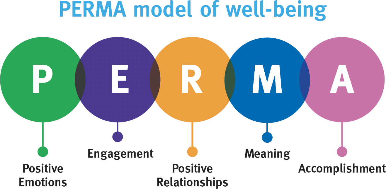 3 perma model